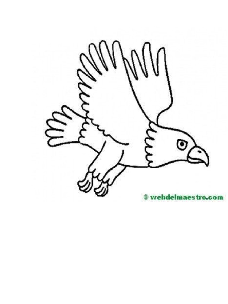 Agula A Colorear | PDF