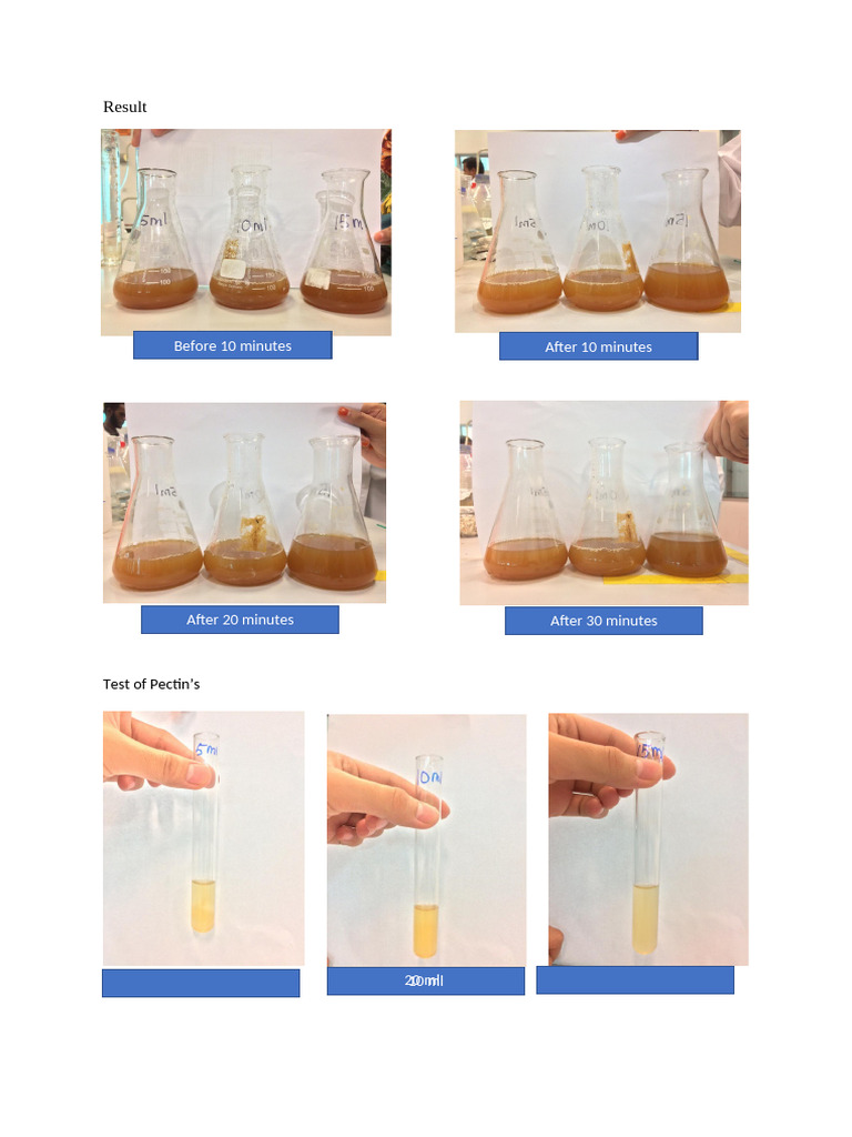 Pectinase Effects on Apple Juice Clarity | PDF | Physical Chemistry ...