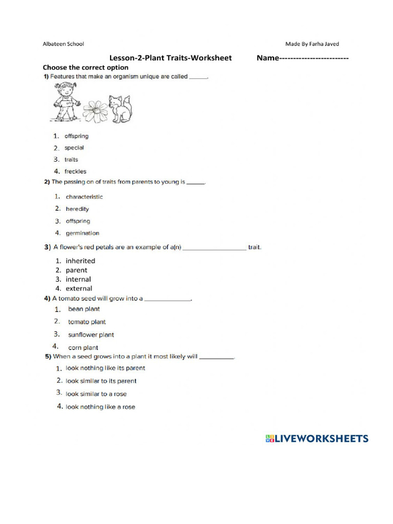 Document | PDF