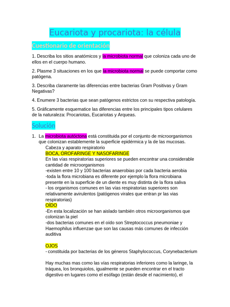 Bacterias: Eucariotas vs Procariotas | PDF | Las bacterias | Bacterias ...