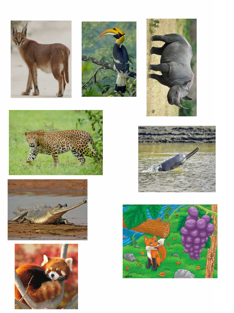 Downloadfile | PDF