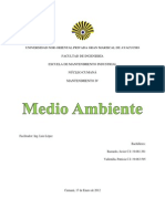 El Medio Ambiente