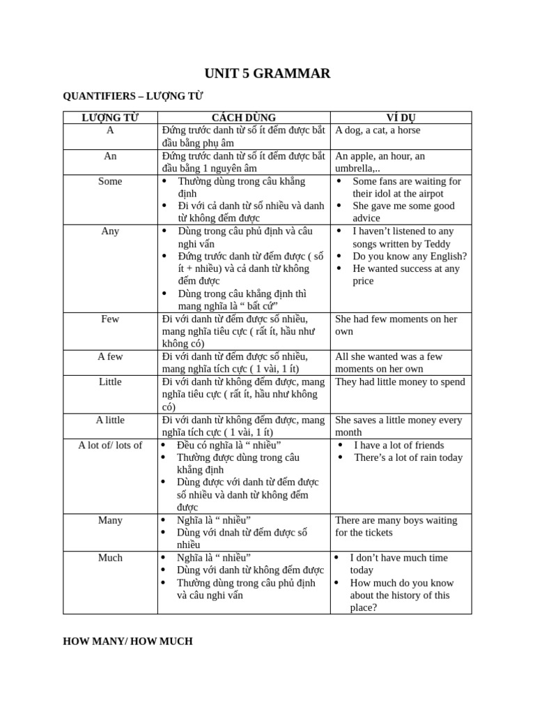 Unit 5 Grammar: Quantifiers Guide | PDF | Foods | Cuisine