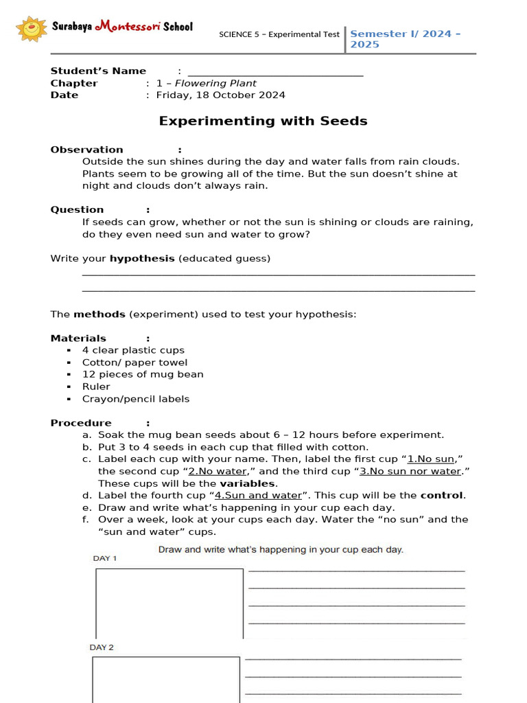 Seed Growth Experiment Test | PDF | Experiment | Seed