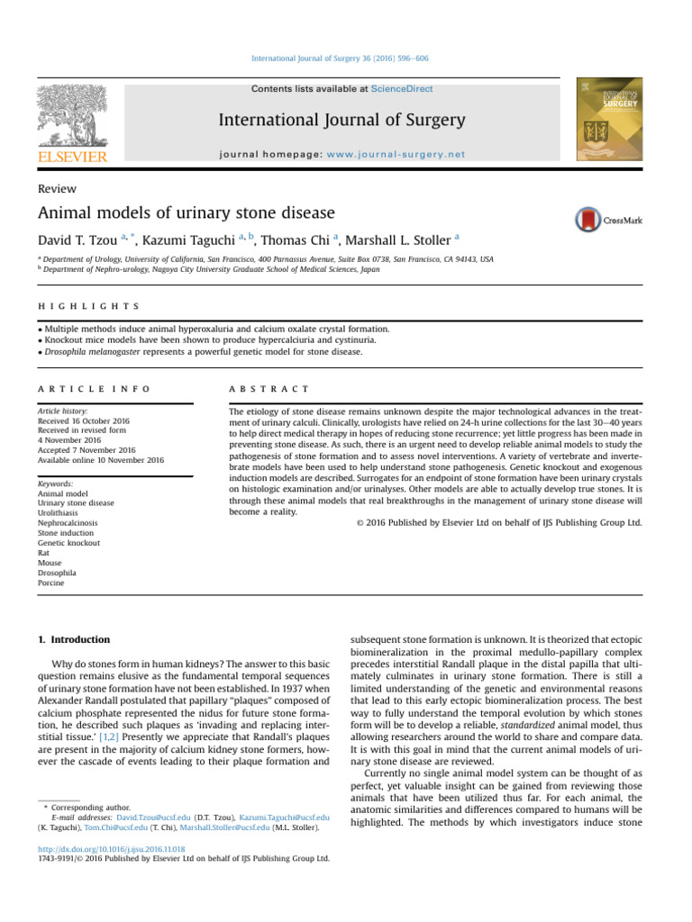 Animal Models for Urinary Stone Research | PDF | Kidney