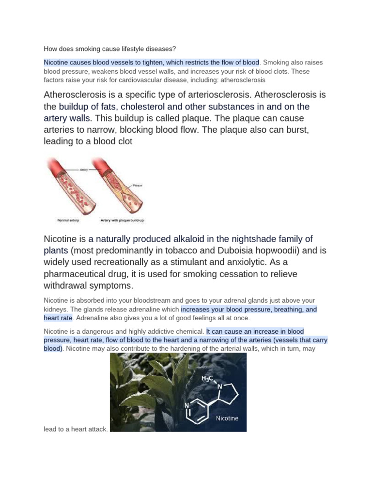 How Does Smoking Cause Lifestyle Diseases | PDF