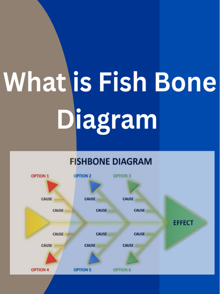 Understanding Fishbone Diagrams | PDF | Causality | Business