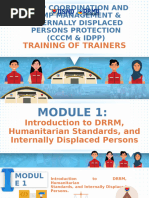LDRRMO Position Guidelines and Salaries | PDF | Public Sphere ...