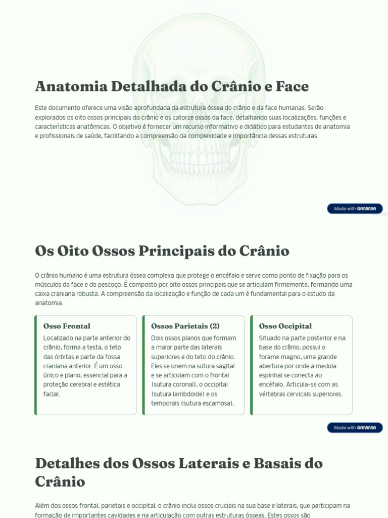 Anatomia Do Crânio E Face Humana Pdf Crânio Sistema Esquelético
