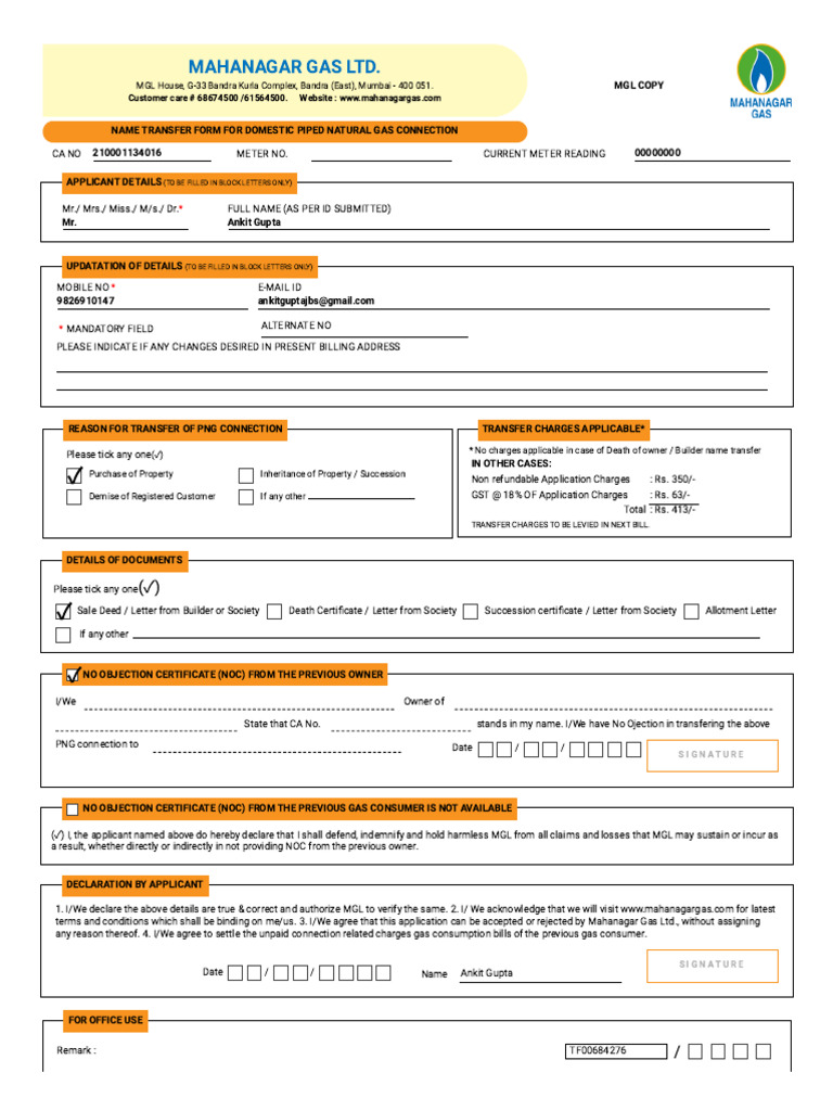 MGL Name Transfer Application Form | PDF | Natural Gas | Indemnity