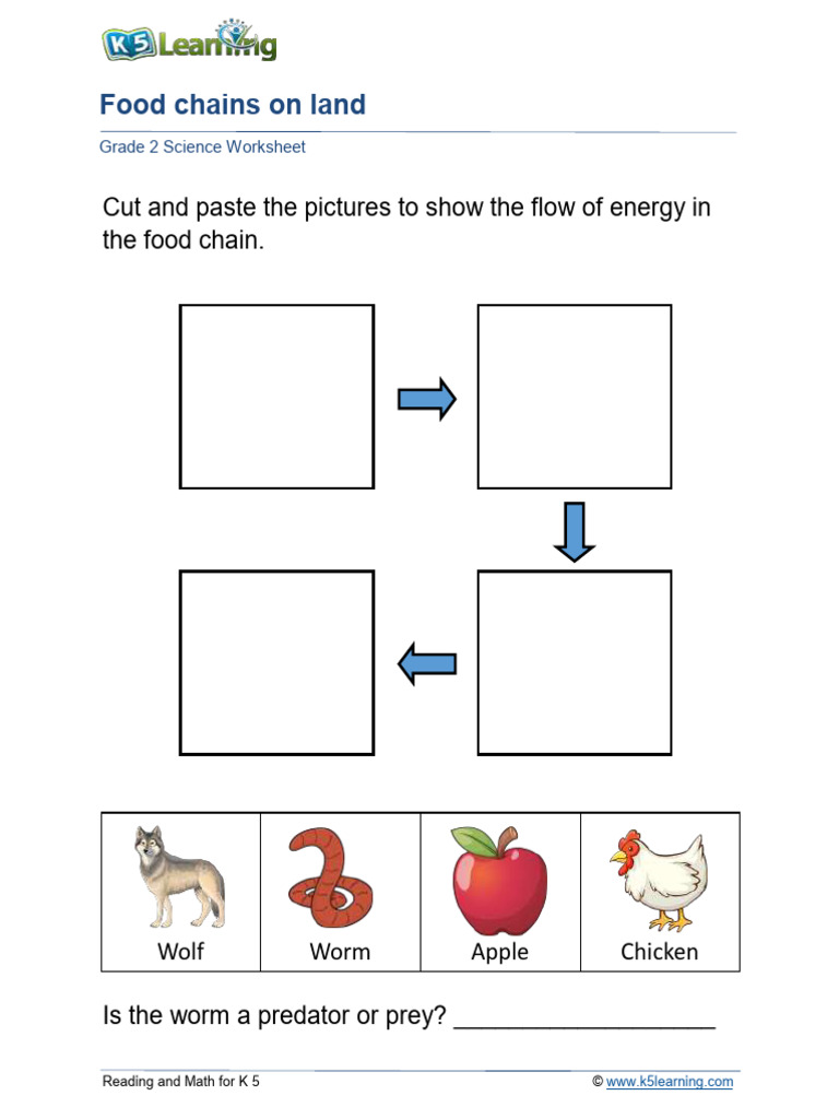 Grade 2 Animals Food Chain A | PDF