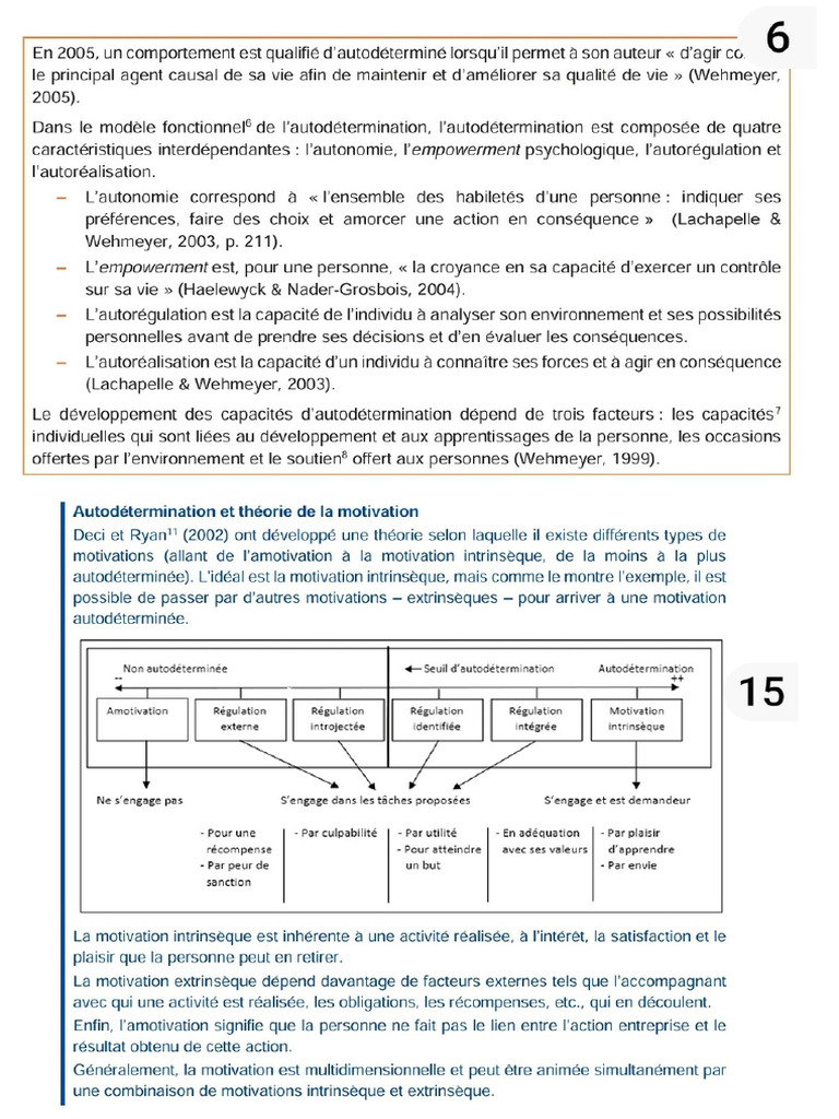 Autodetermination 20250415 211752 0000 | PDF