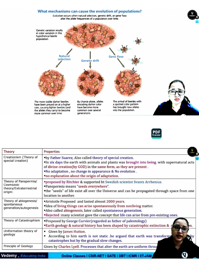 ACE Scanner Overview and Features | PDF