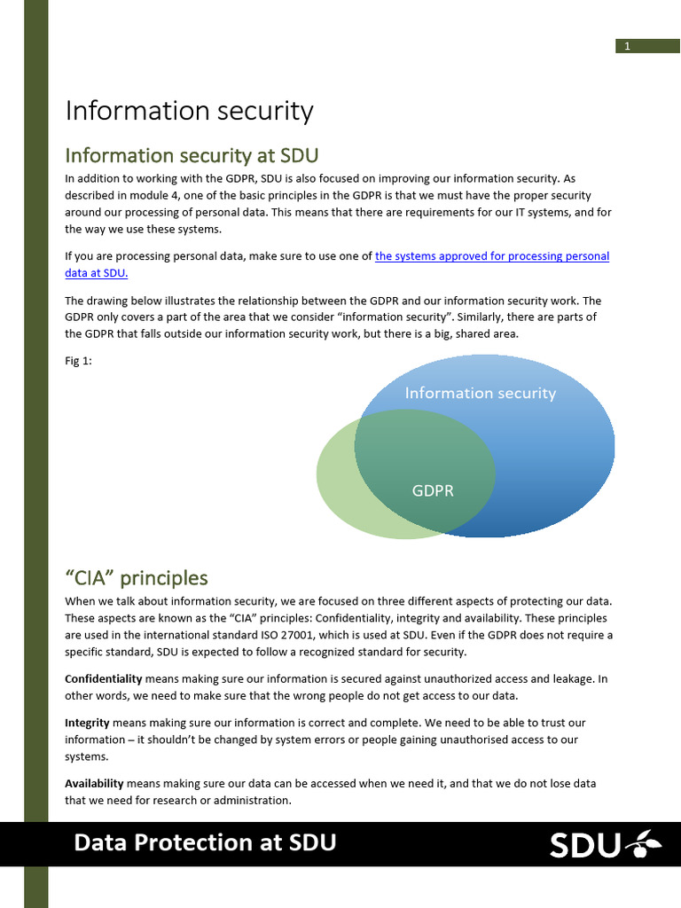 SDU Information Security Guidelines | PDF | Information Security | Security
