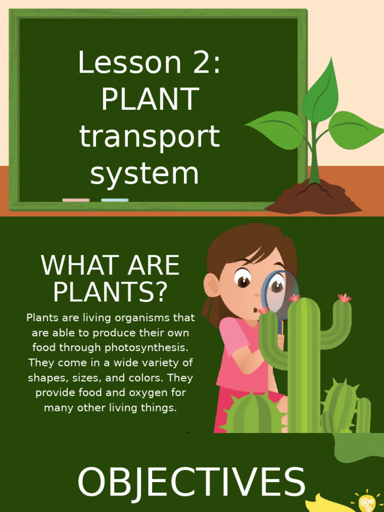 How Do Green Plants Produce Their Own Food: The Science Unveiled