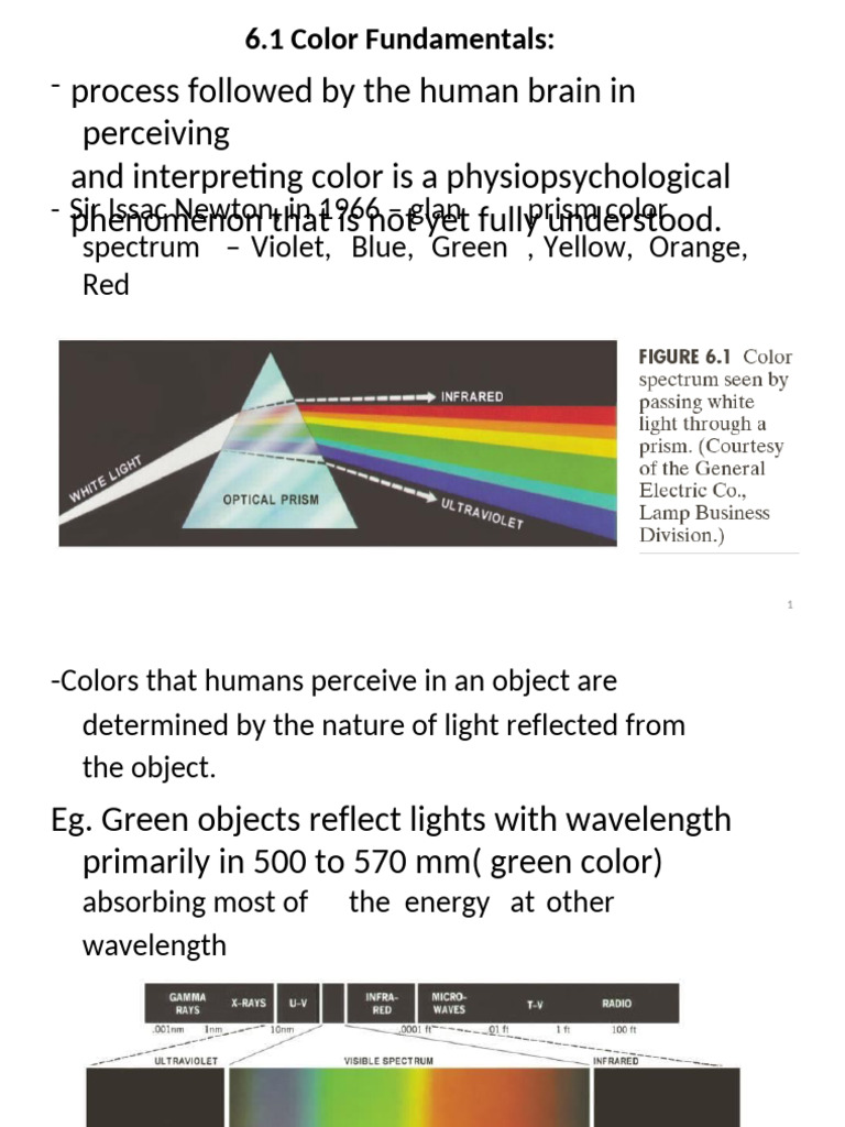 Process Followed by The Human Brain in Perceiving and Interpreting ...
