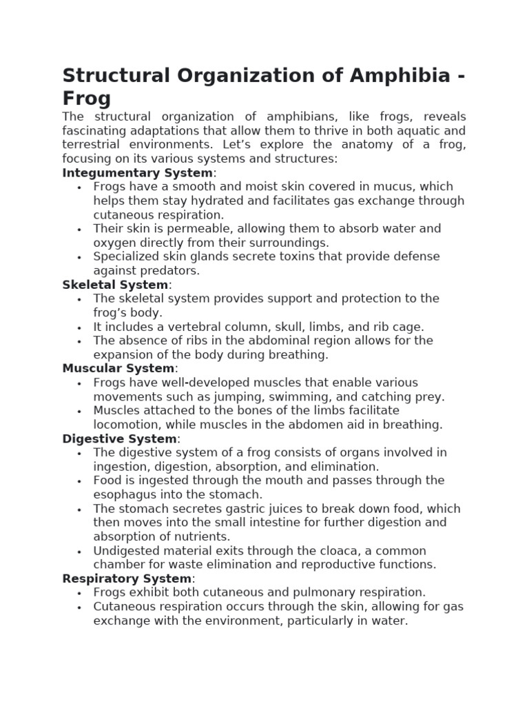 Male Frog Reproductive Anatomy Explained | PDF | Human Body | Frog