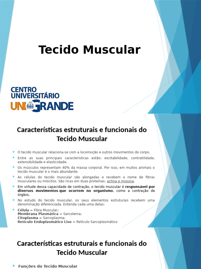Uni6.1 Tecido Muscular | PDF | Músculo | Biologia