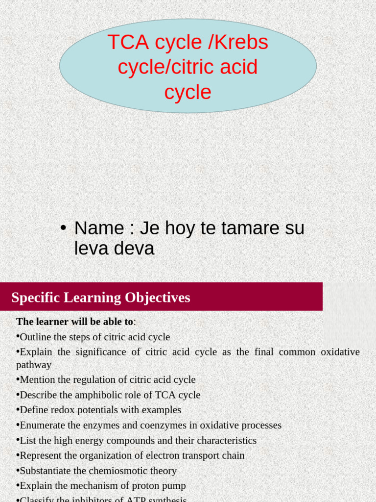 Understanding the Citric Acid Cycle | PDF | Diet & Nutrition | Citric ...