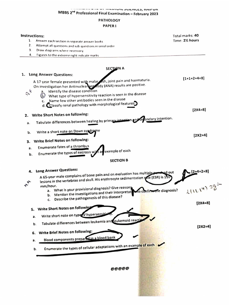 2020 Batch Prof Exam | PDF