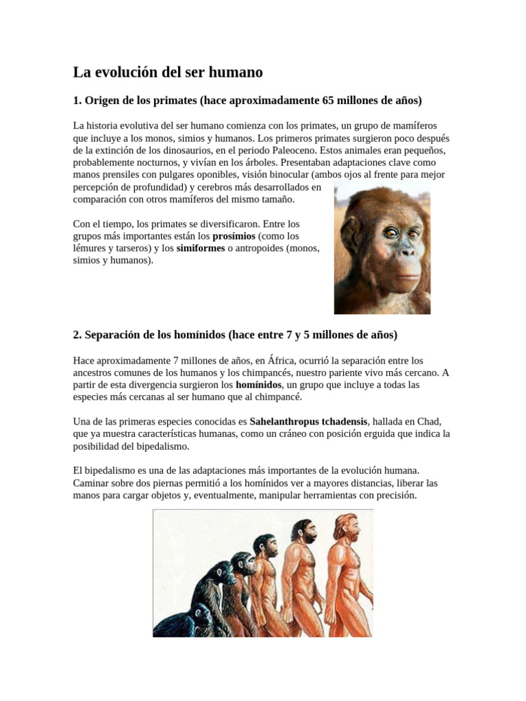 Evolución del ser humano: historia y etapas | PDF | Homo | Evolución humana