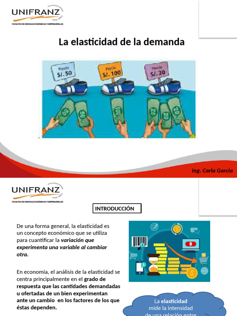 Eco 111 Elasticidad de La Demanda | PDF | Elasticidad (economía ...