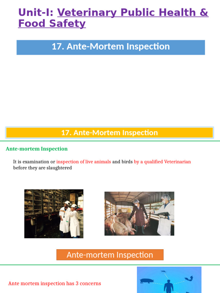 Ante-Mortem Inspection in Veterinary Practice | PDF | Slaughterhouse ...