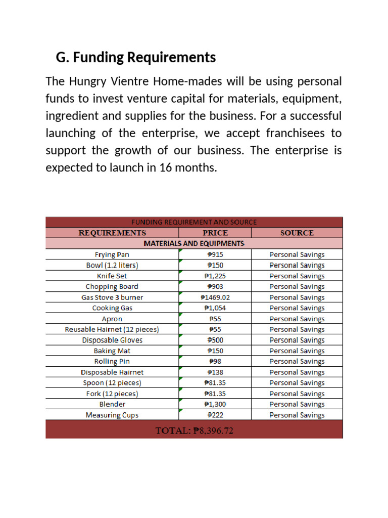 Funding Strategy for Hungry Vientre | PDF