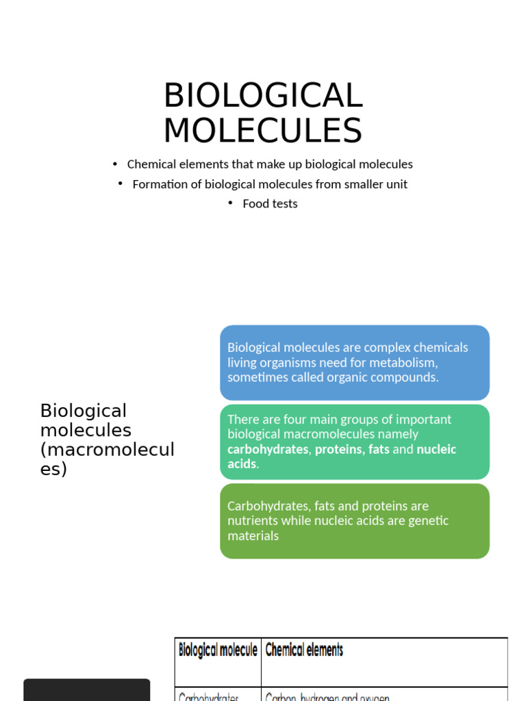 Understanding Biological Molecules | PDF | Carbohydrates | Glucose