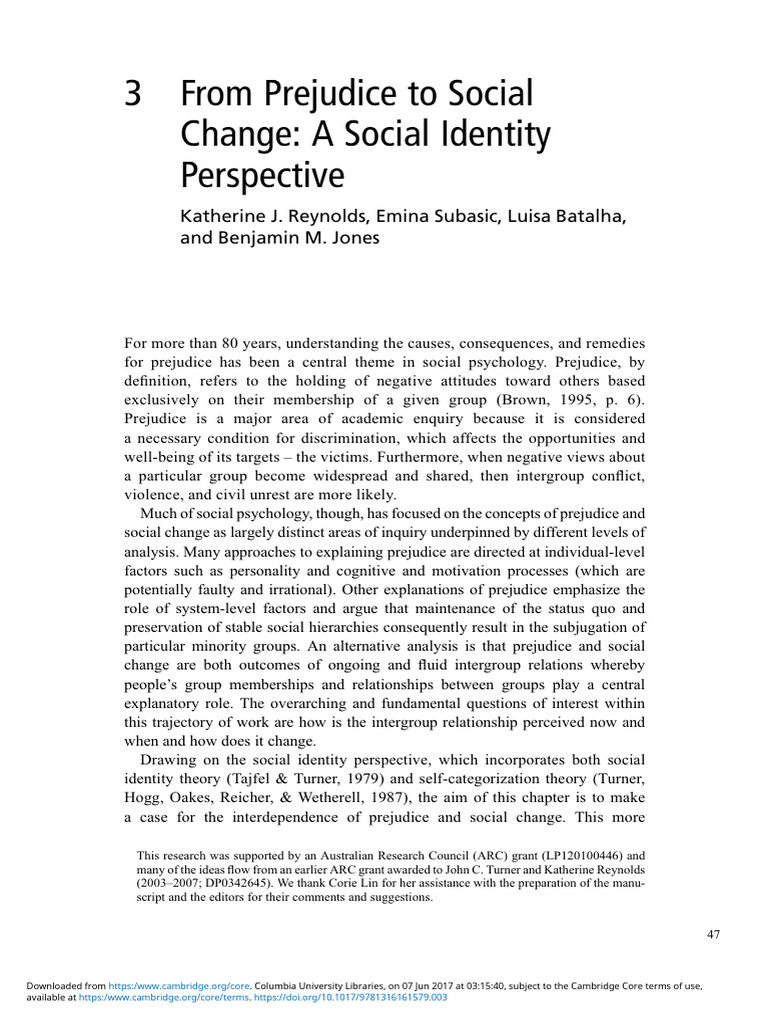 From Prejudice To Social Change A Social Identity Perspective | PDF ...