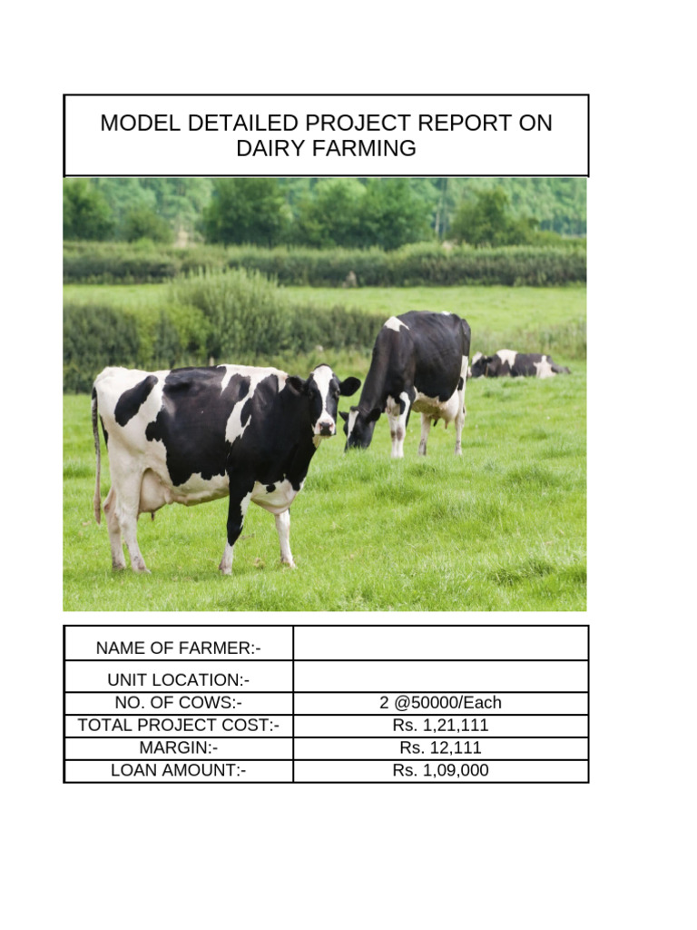 2 Cow Dairy Farming Project Report | PDF | Expense | Dairy