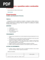 Experimento e questões sobre combustão e energia