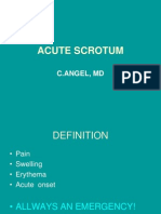 Acute Scrotum