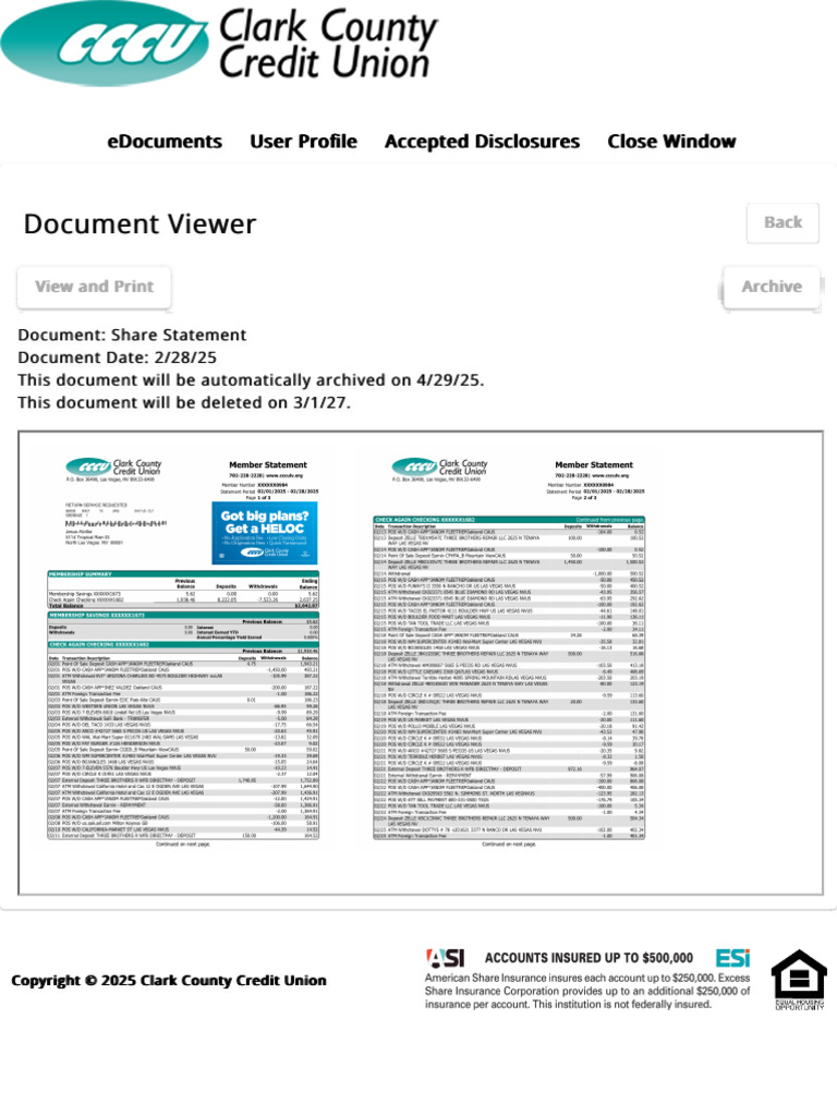Share Statement Document Overview | PDF