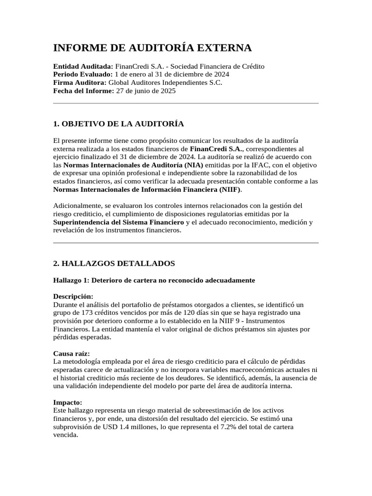 Informe de Auditoría Externa 2024 | PDF | Auditoría | normas ...