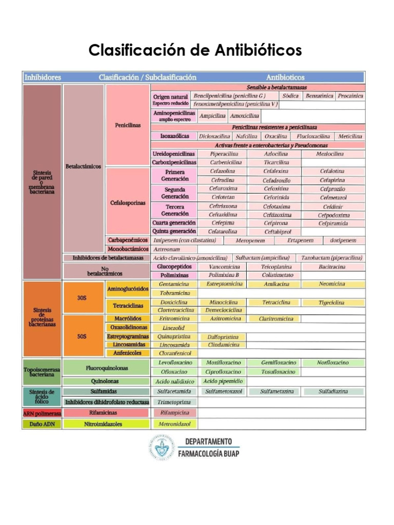Clasificación Antibióticos | PDF