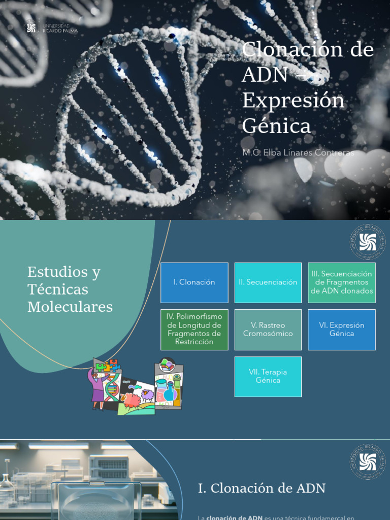 Clase XI Clonación de ADN - Expresión Génica | PDF | Plásmido | Gene