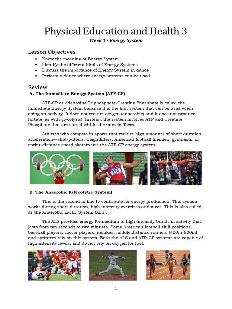 Physical Education and Health 3 Week 1 | PDF | Cellular Respiration ...