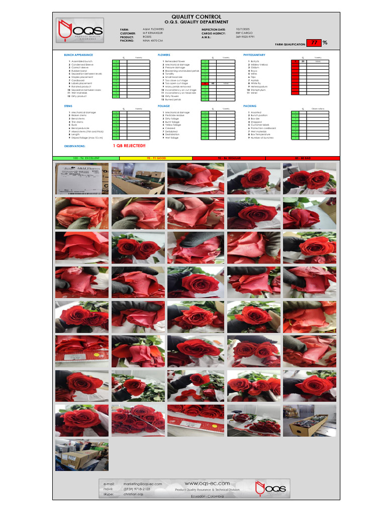 Flower Quality Inspection Report | PDF | Plant Morphology | Branches Of ...