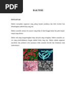 Download MAKALAHBAKTERIbyJemsSipilSN88875683 doc pdf