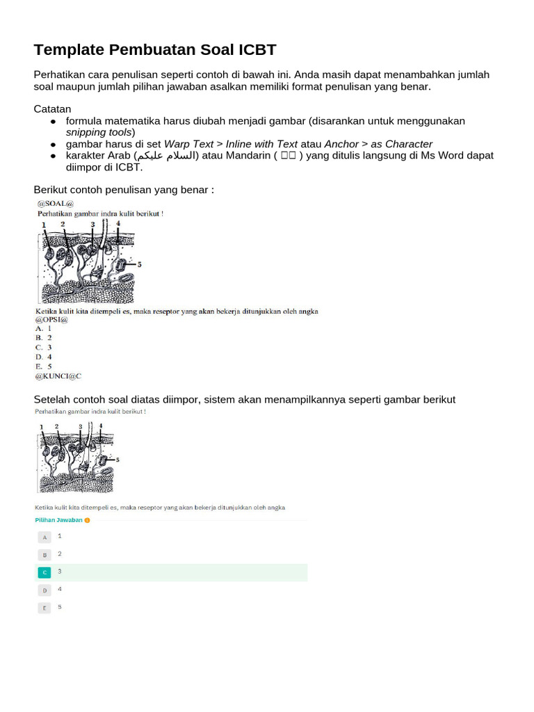Template Soal ICBT: Panduan Penulisan | PDF