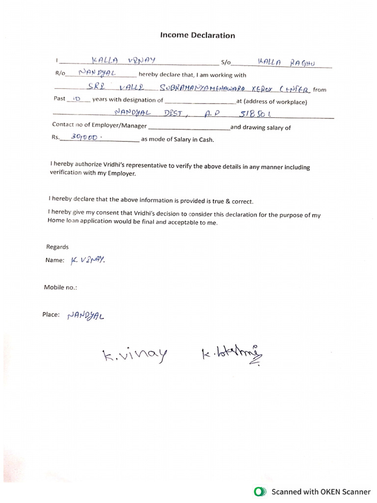 Income Document | PDF
