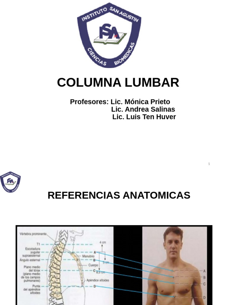 Técnicas Radiográficas de Columna Lumbar | PDF | La columna vertebral ...