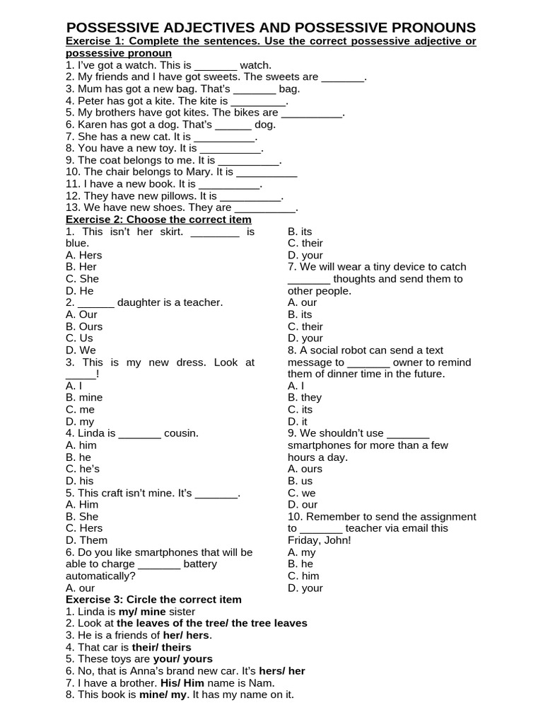 Exercises on Possessive Adjectives | PDF