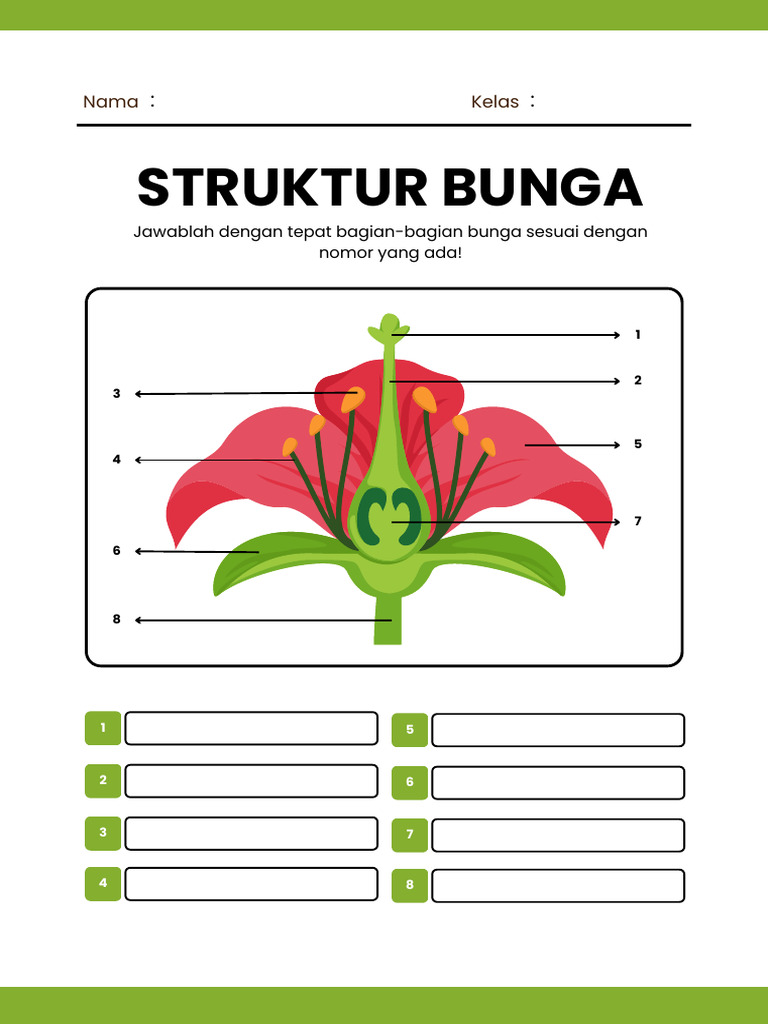 Worksheet Struktur Bunga | PDF