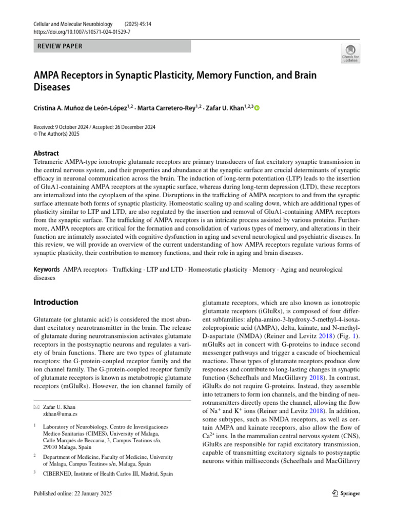 AMPA Receptors: Role in Memory and Plasticity | PDF | Synaptic ...
