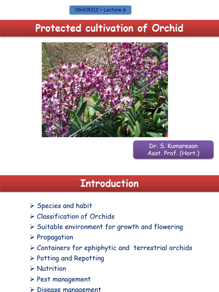 Orchid Cultivation Techniques Overview | PDF | Botany | Plant Morphology