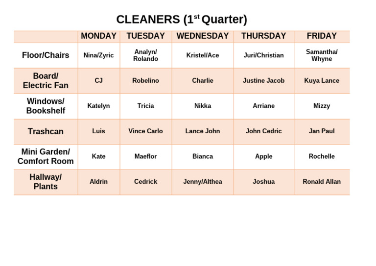 Cleaners | PDF