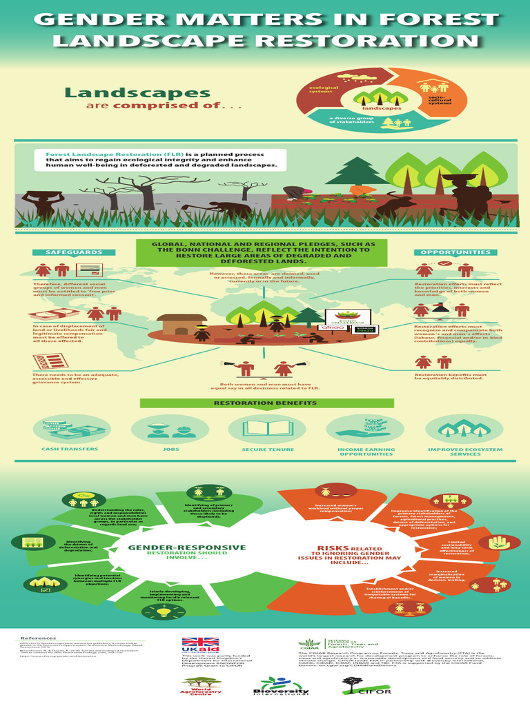 Gender in Forest Landscape Restoration | PDF | Forests | Deforestation