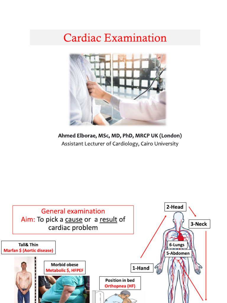 Cardiac Examination Pictures | PDF